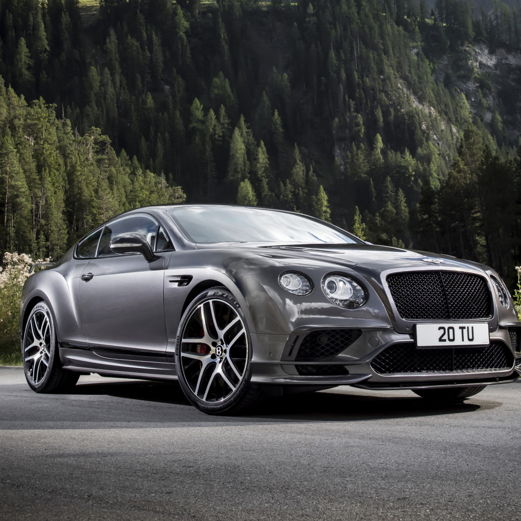 Серебристый автомобиль Bentley Continental GT на фоне леса 