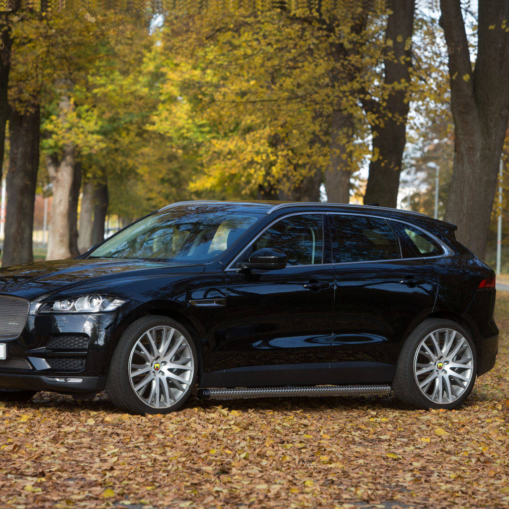 Черный автомобиль  Jaguar F-PACE стоит в парке