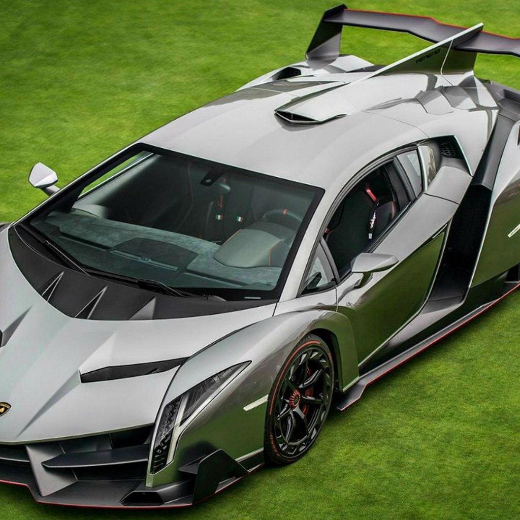 Серебристый спорткар Lamborghini Veneno на зеленом газоне 