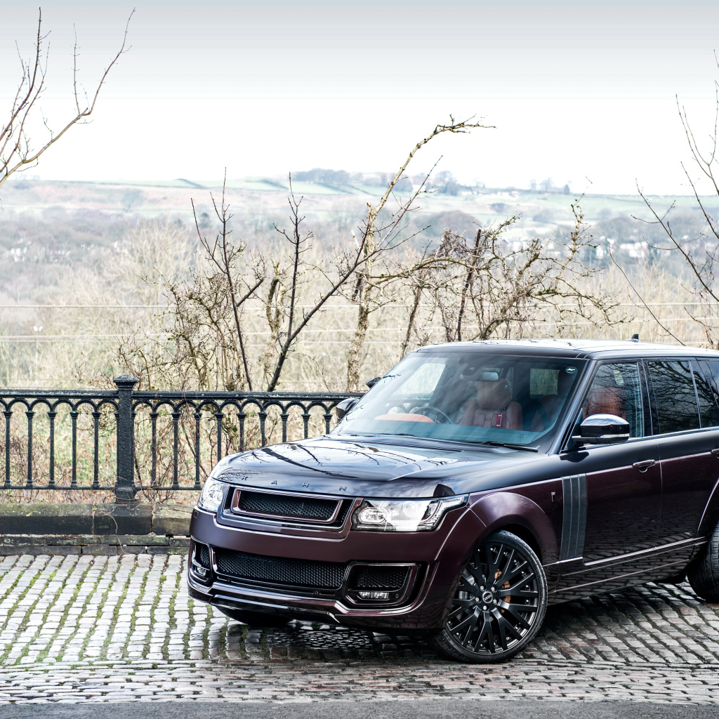 Внедорожник Range Rover цвет бордовый металлик