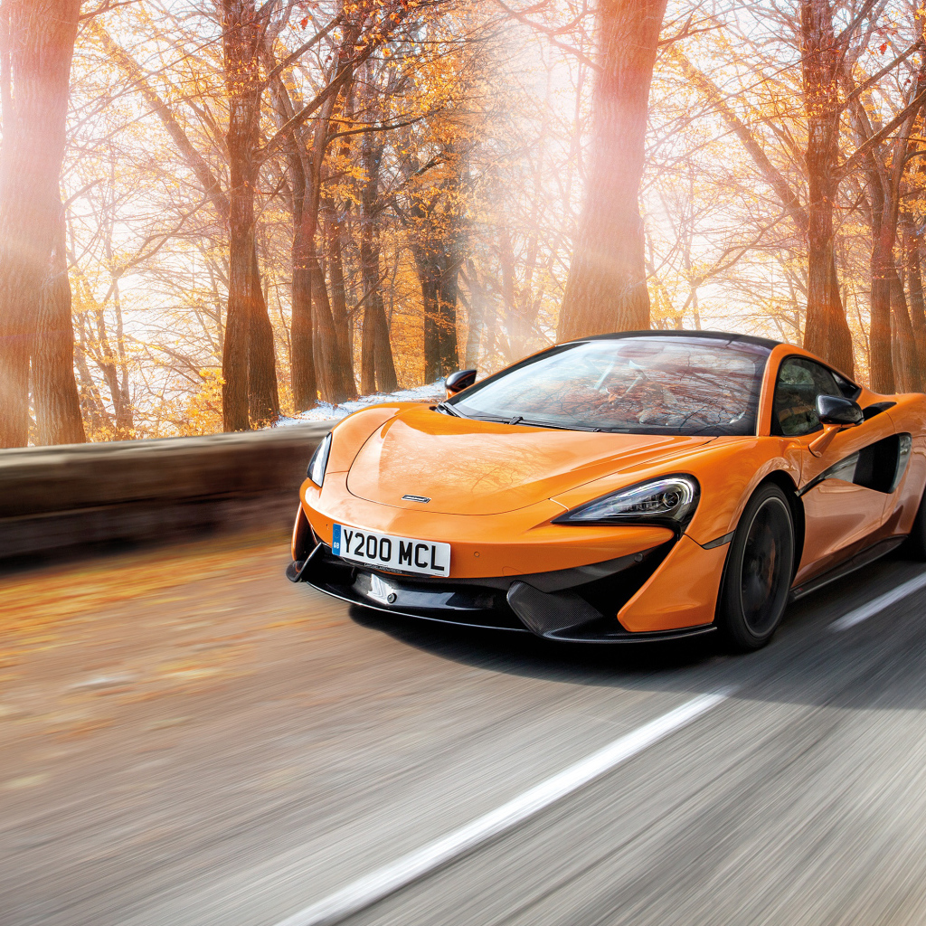 Спортивный автомобиль McLaren 570S Pirelli MC Sottozero 3, 2018 осенью 