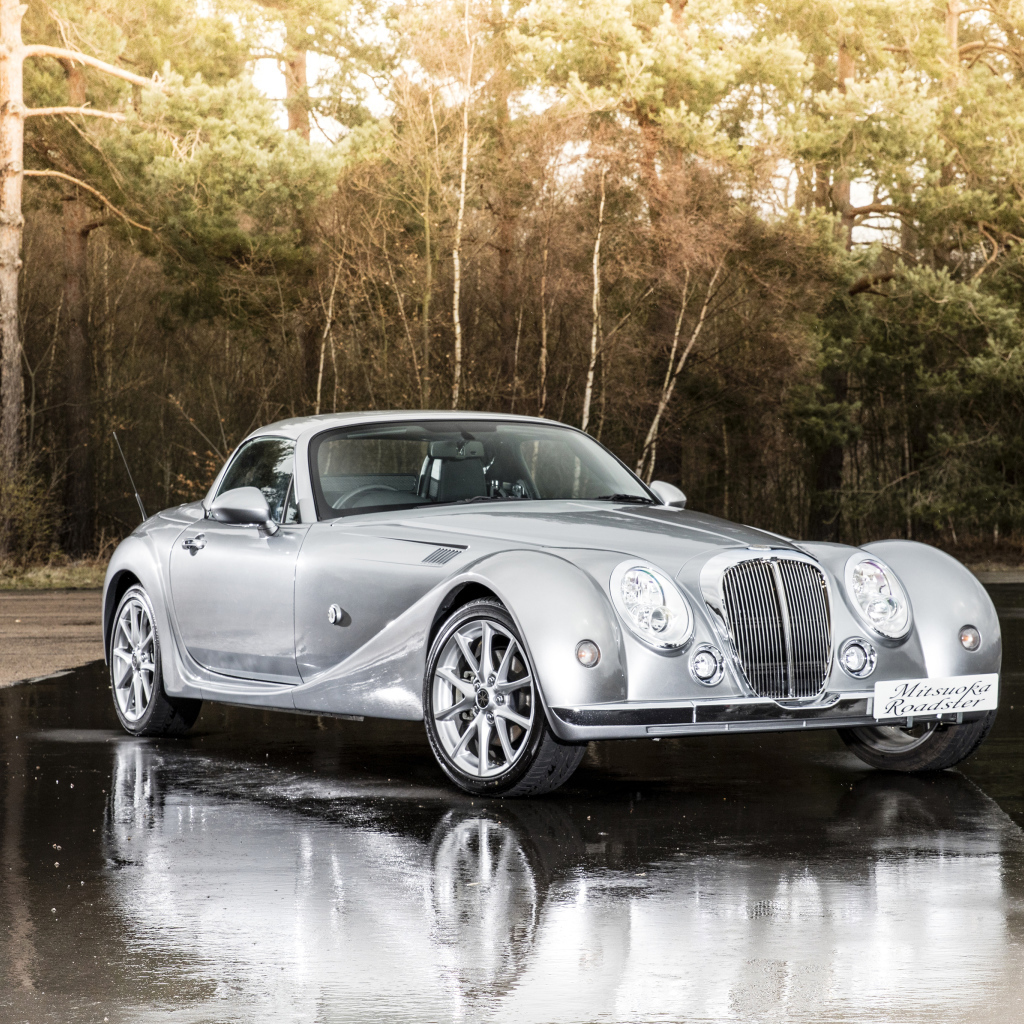 Серебристый автомобиль  Mitsuoka Roadster