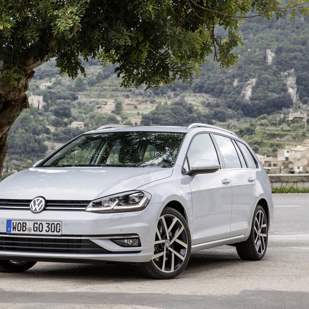 Серебристый Volkswagen Golf TDI Variant Worldwide (Typ 5G), 2017 под деревом 