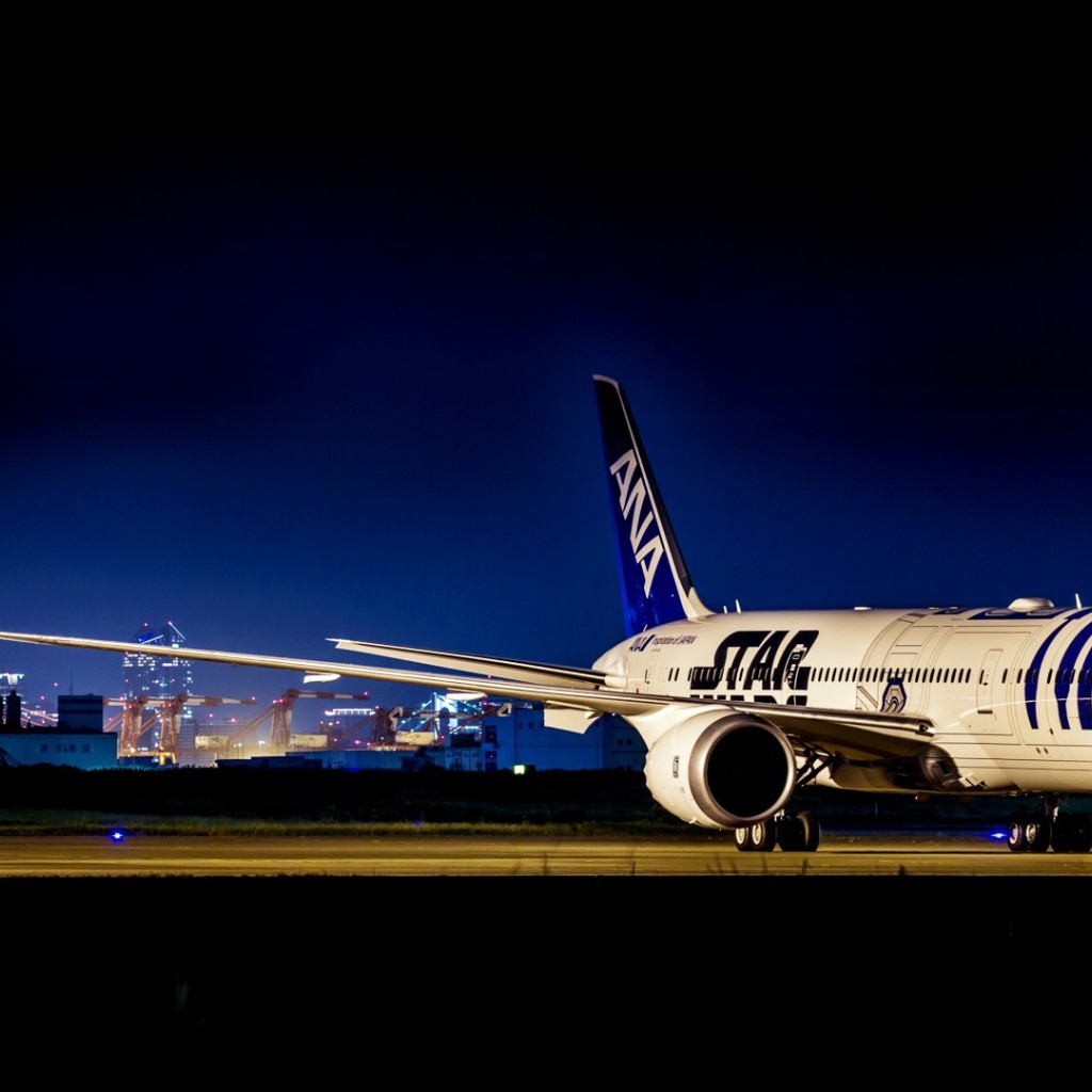 Самолет Boeing 787 в аэропорту 