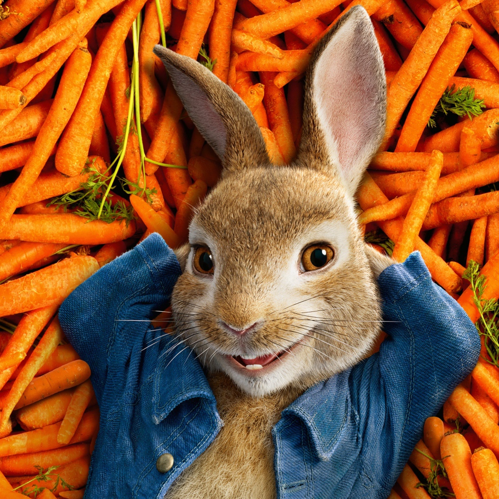 Кролик персонаж мультфильма Приключения Кролика Питера, 2018