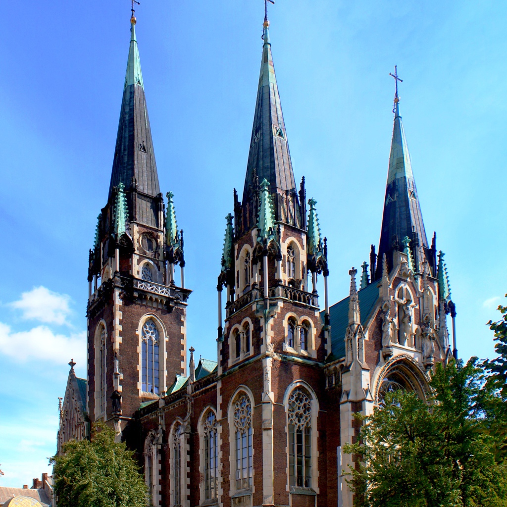 Костел Святой Елизаветы город Львов   