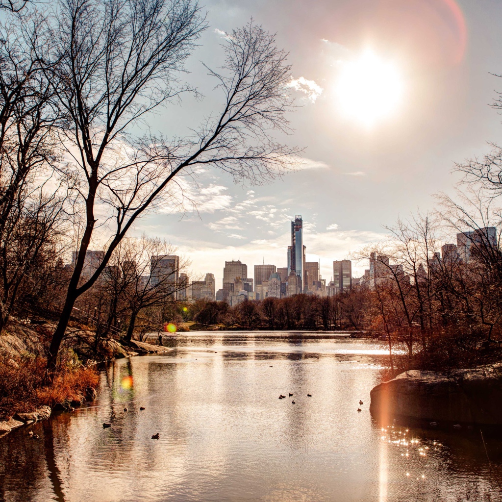 Вид на небоскребы из  городского парка 
