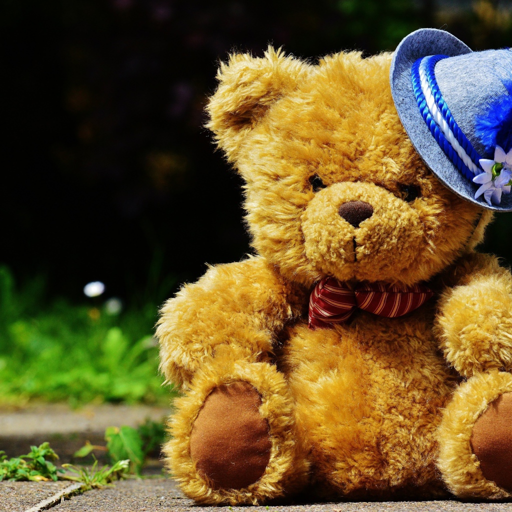 Плюшевый медведь в шляпке сидит на дороге