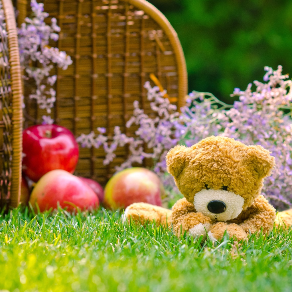 Мягкая игрушка медвежонок Тедди сидит на зеленой траве с корзиной яблок