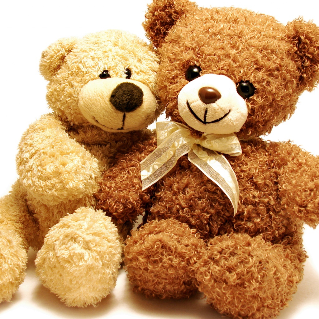 Два плюшевых медвежонка на белом фоне