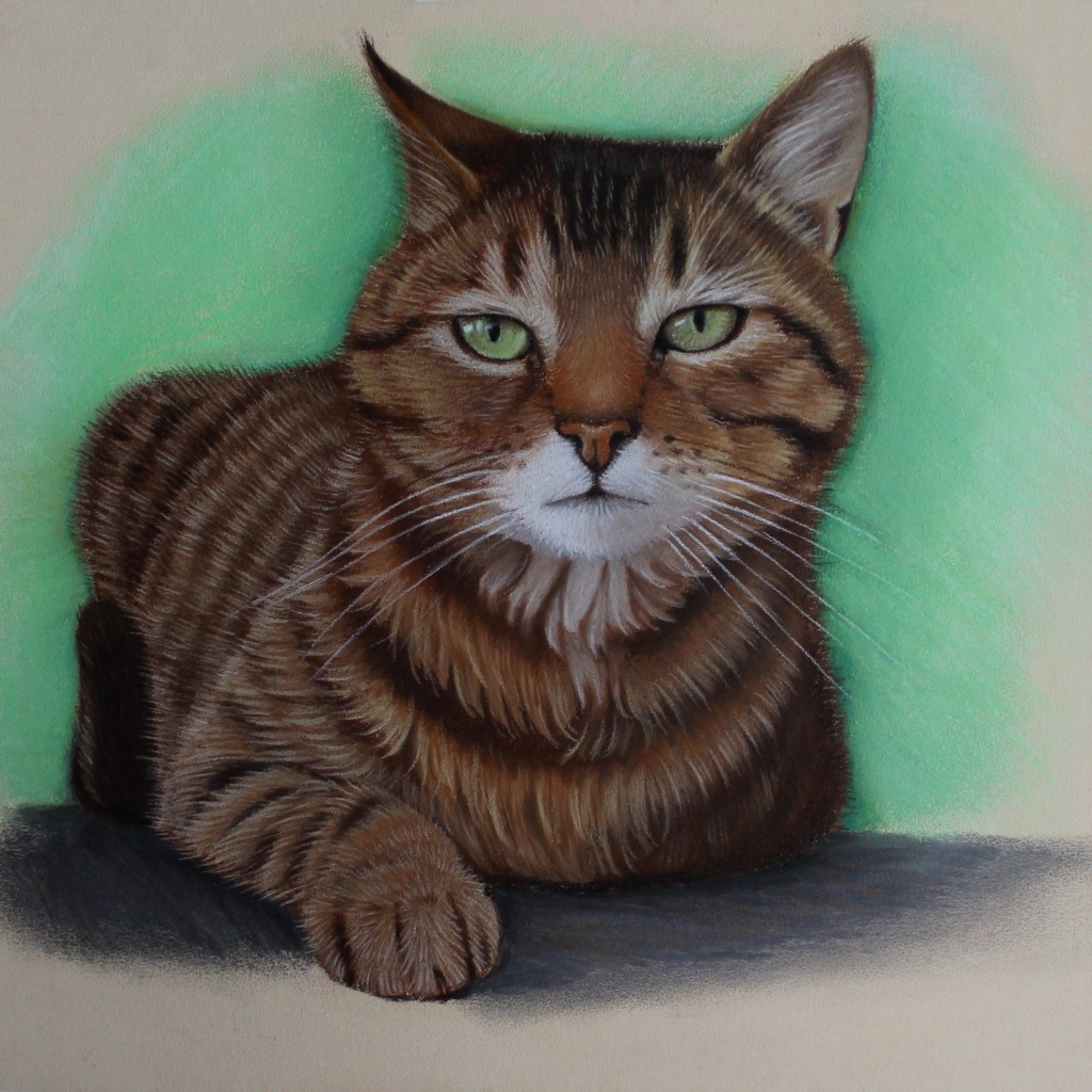 Нарисованный зеленоглазый кот