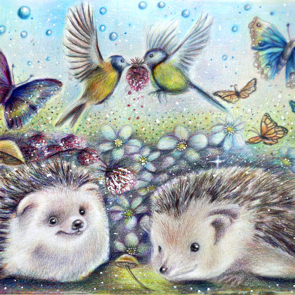 Нарисованные ежики с бабочками и птичками