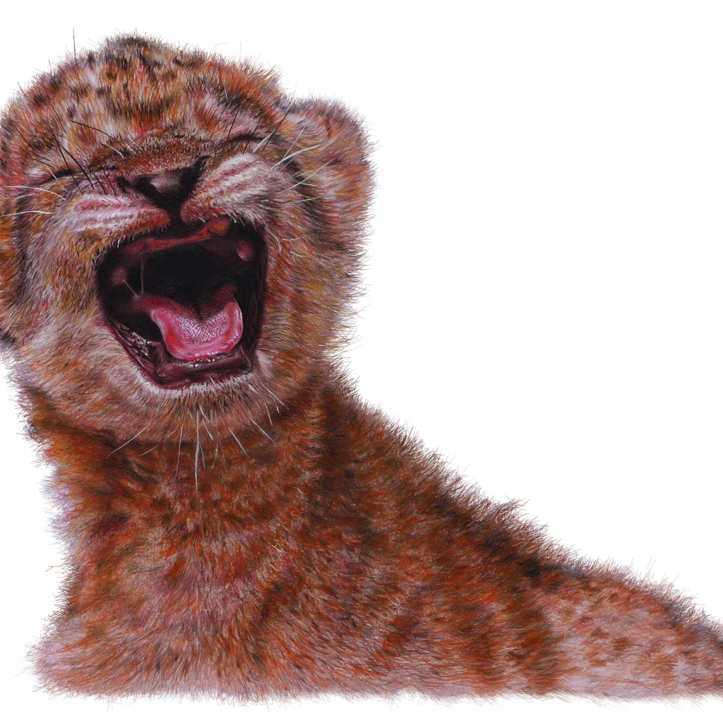 Нарисованный маленький львенок на белом фоне