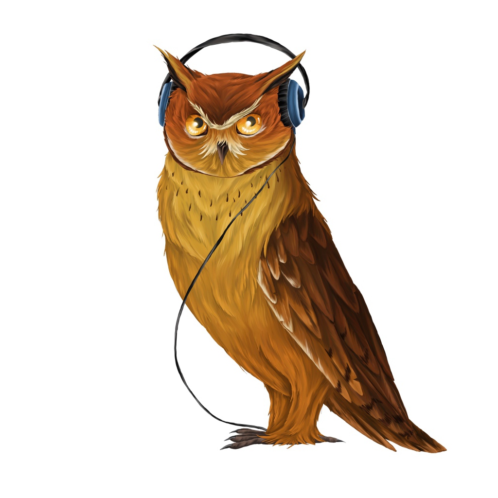 Нарисованная сова в наушниках  на белом фоне