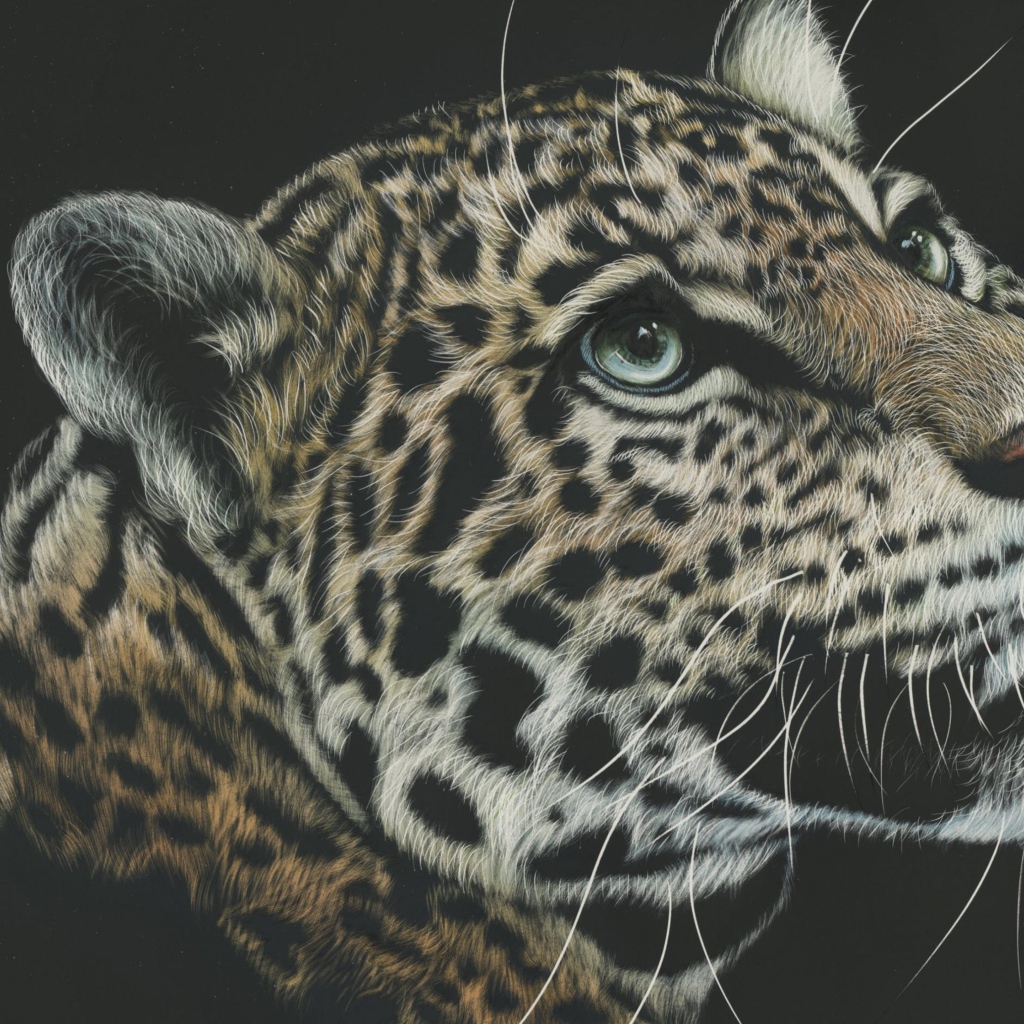 Нарисованная морда леопарда