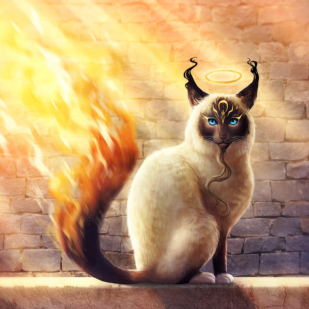 Магический кот с огненным хвостом, фэнтези