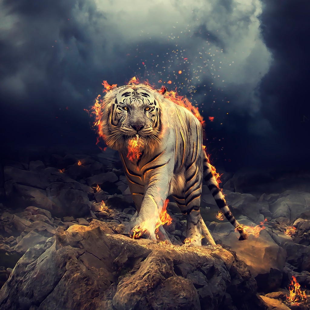 Огненный тигр идет по камням