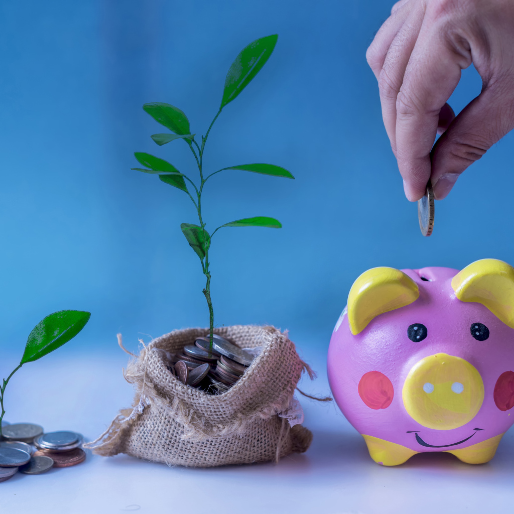 Pig piggy bank and a pouch of coins with a money tree on a blue background
