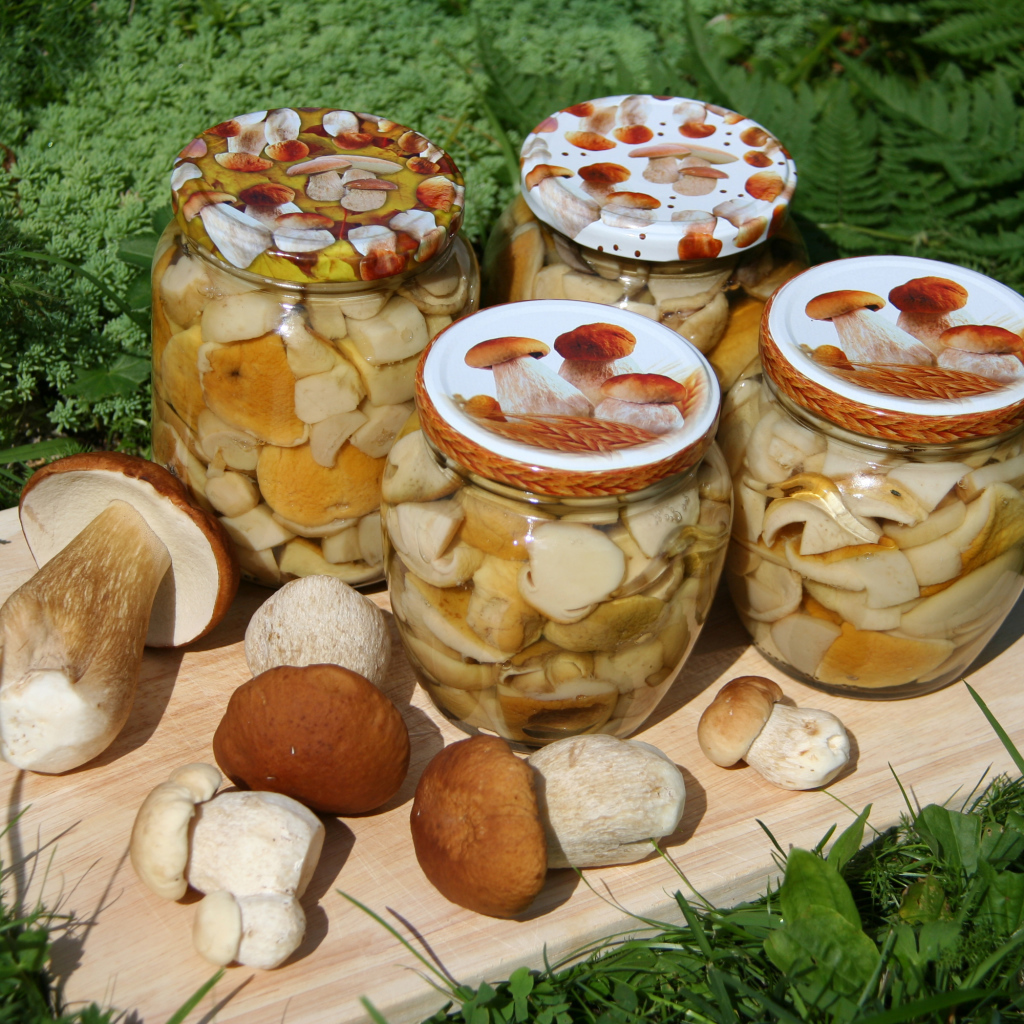 Консервированные грибы в банках на разделочной доске со свежими