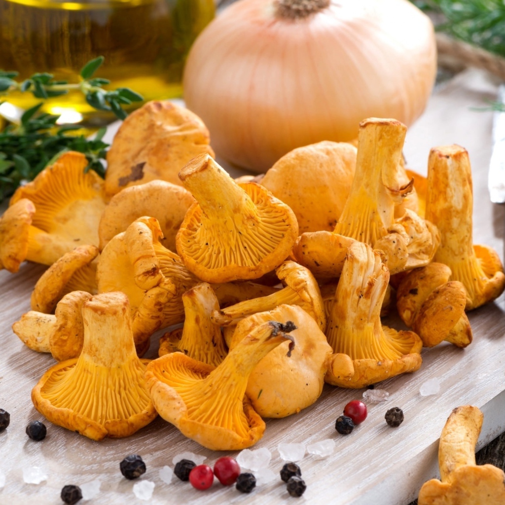 Грибы лисички и овощи на деревянной доске 