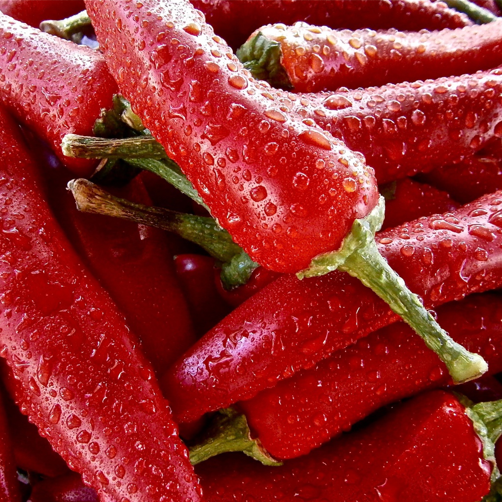 Красный перец чили в каплях воды крупным планом