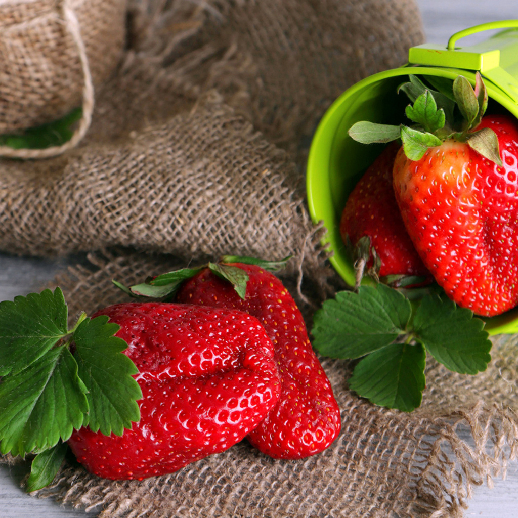 Крупная спелая красная клубника на столе