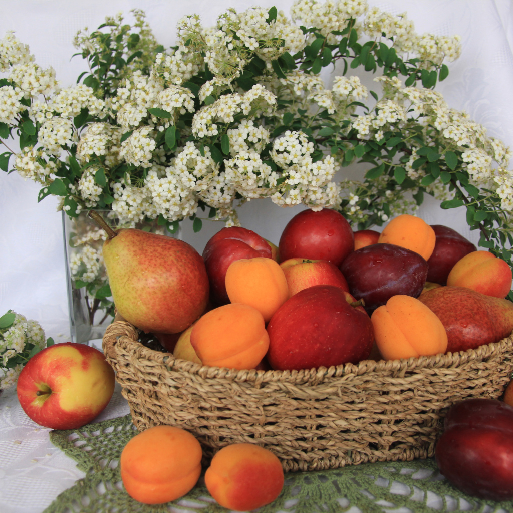 Свежие яблоки, груши, сливы и абрикосы в плетеной корзине на столе с белыми цветами