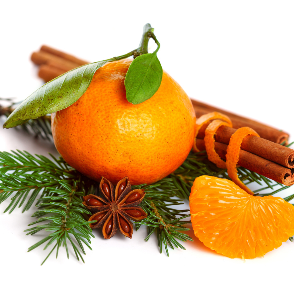Мандарин с веткой ели, корицей и бадьяном на белом фоне