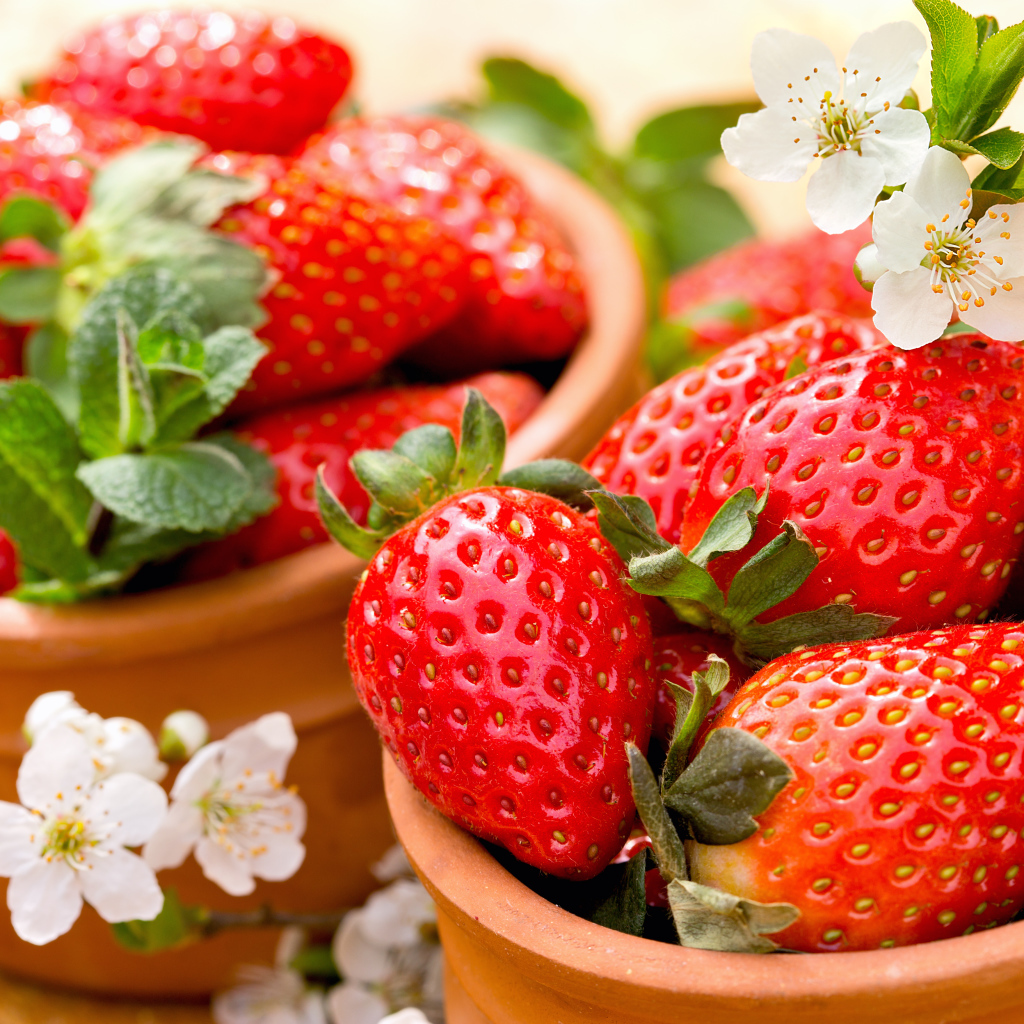 Красные ягоды спелой сочной клубники 