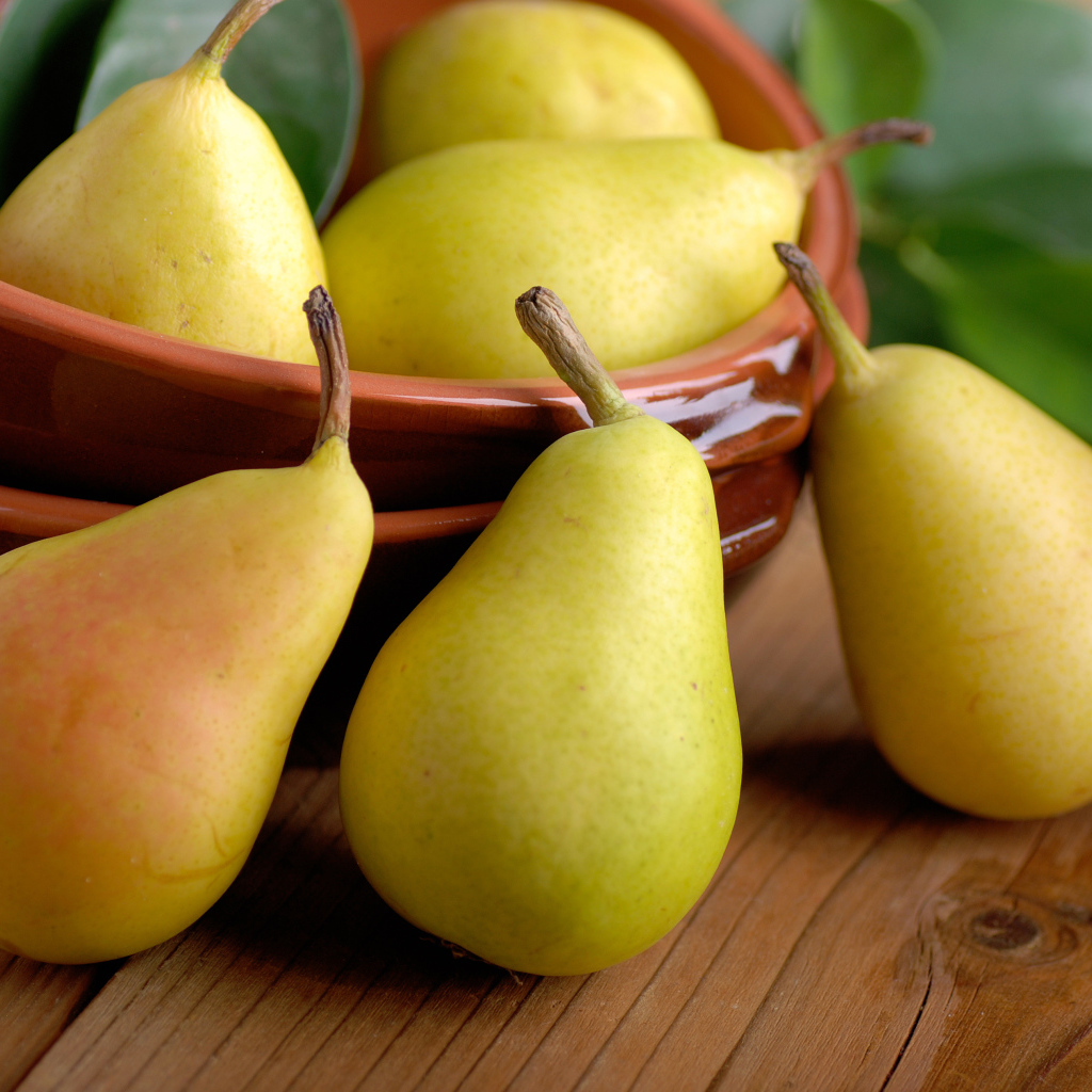 Спелые сочные желтые груши на столе 