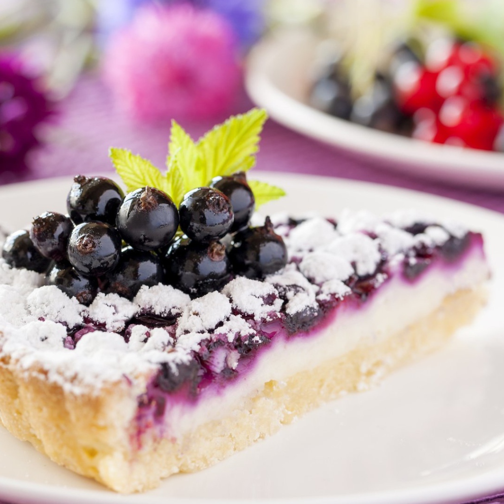 Кусок пирога с черной смородиной и сахарной пудрой