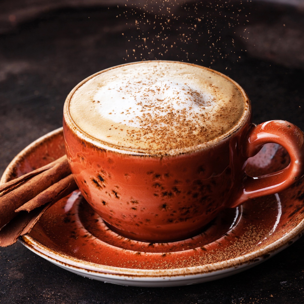 Чашка капучино с корицей на блюдце