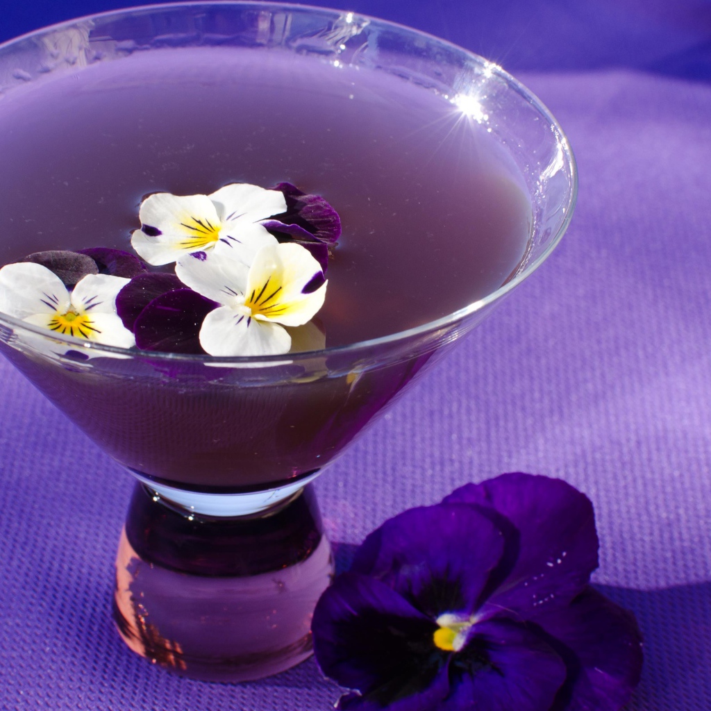 Фиолетовый коктейль Сангрия с текилой и цветами фиалки