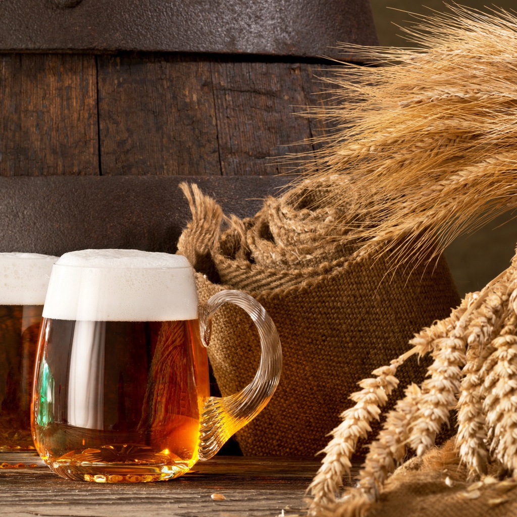 Два бокала пива и колосья пшеницы 