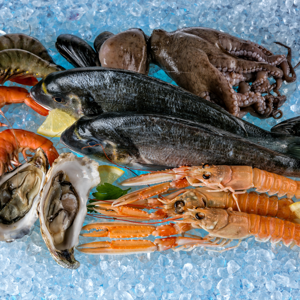 Морепродукты омар лангуст. Морепродукты фон. Белковое отравление морепродуктами. Отравление от морепродуктов. Креветка.