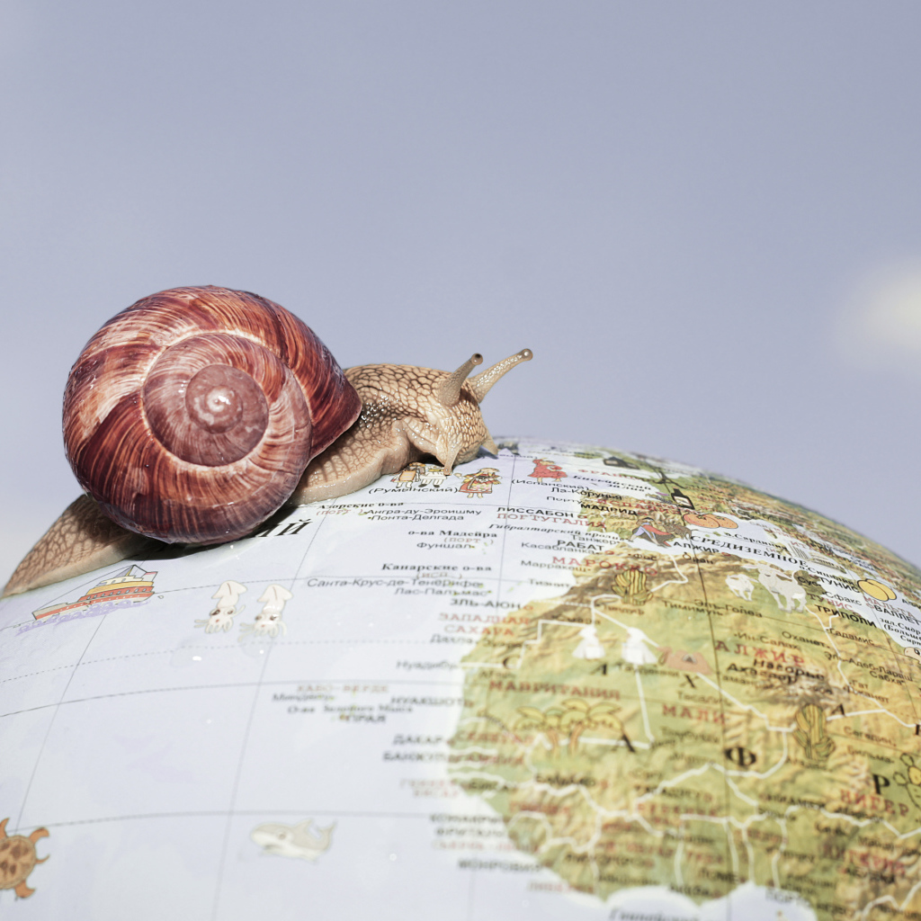 Улитка ползет по глобусу на сером фоне