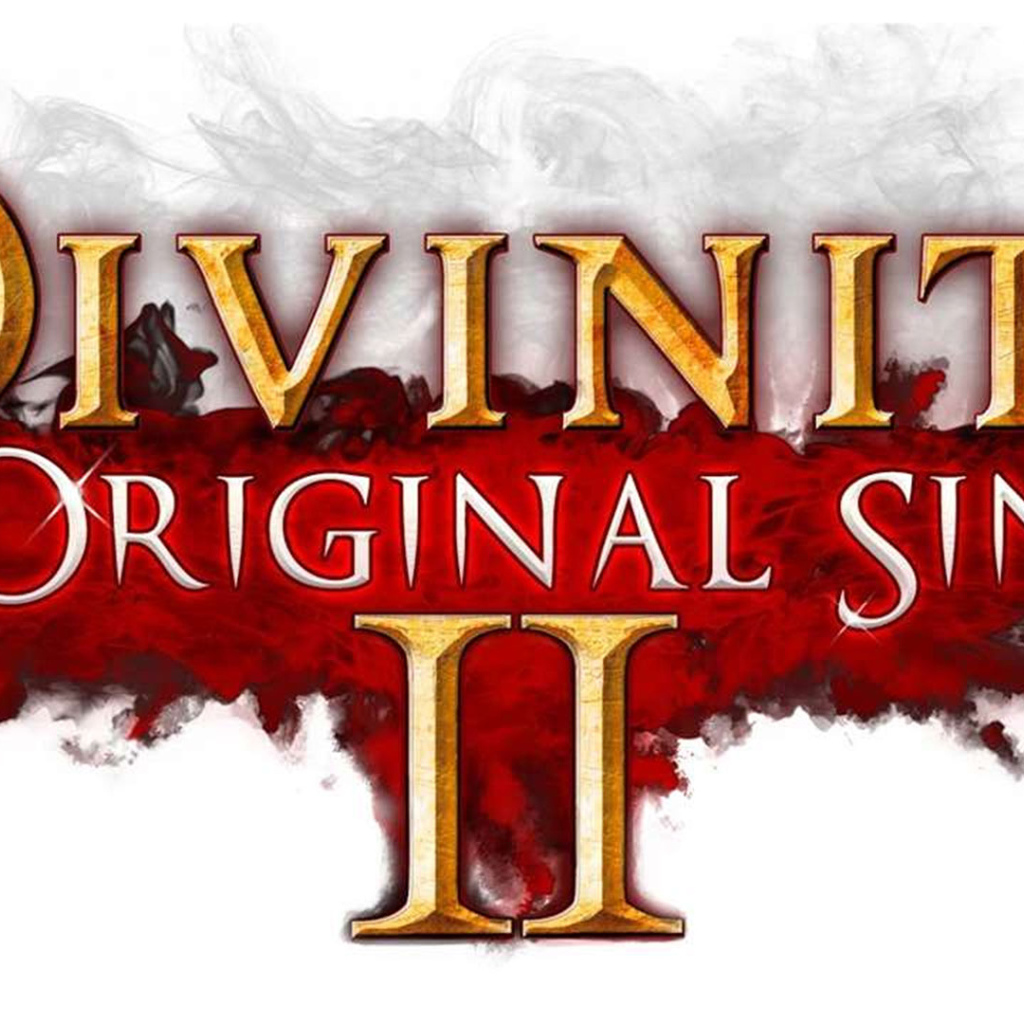 Постер с названием игры Divinity Original Sin II 