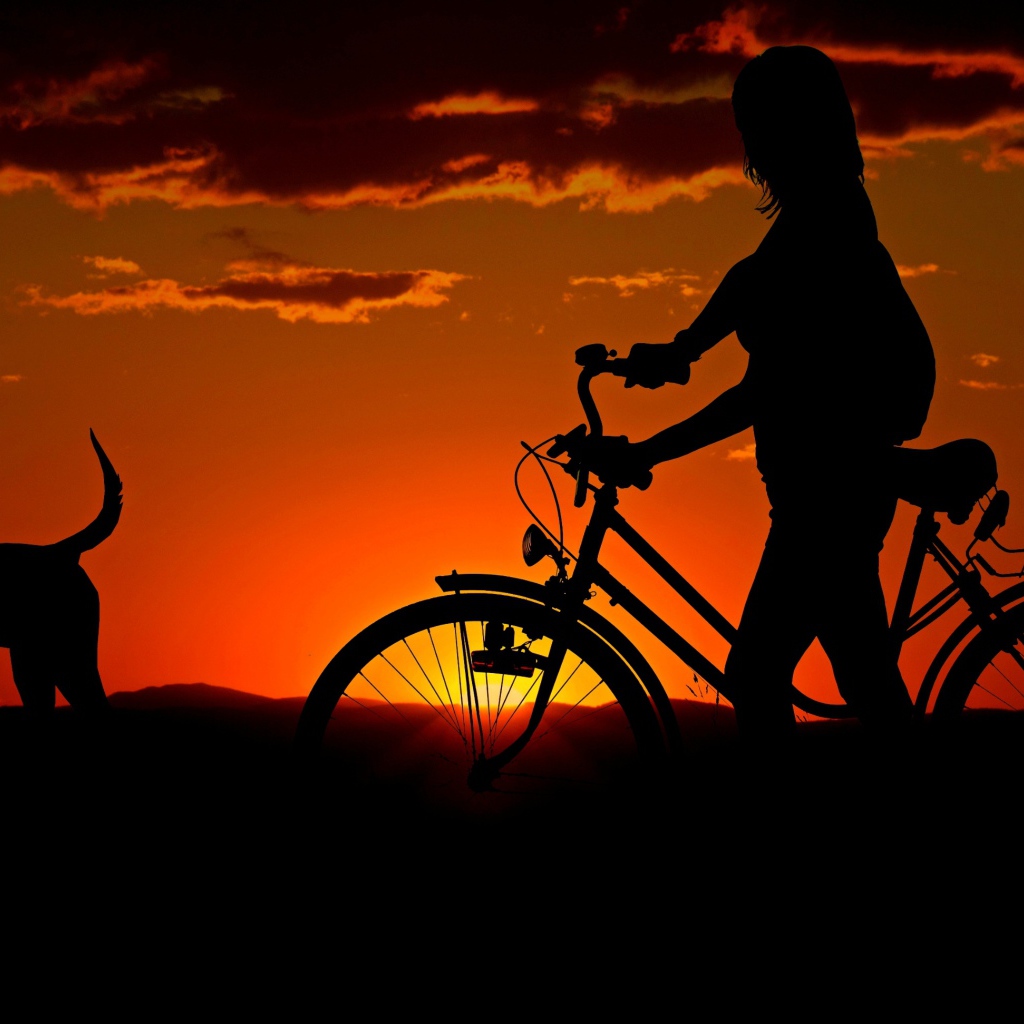 Девушка с велосипедом гуляет с собакой на закате солнца