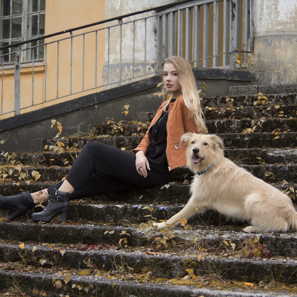 Молодая девушка сидит с собакой на старых ступеньках