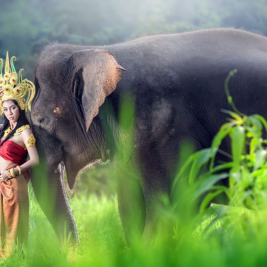 Девушка азиатка в красивом костюме с большим серым слоном