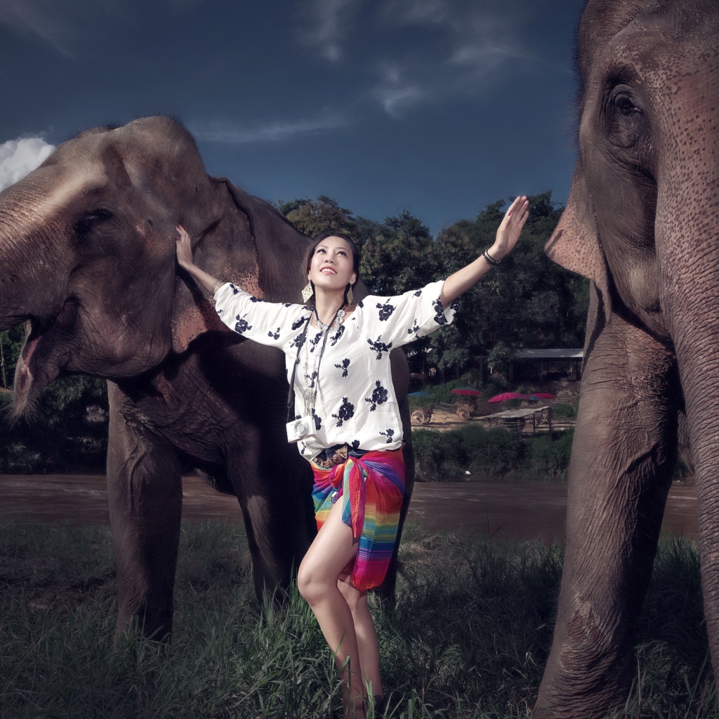 Красивая девушка азиатка с двумя большими слонами