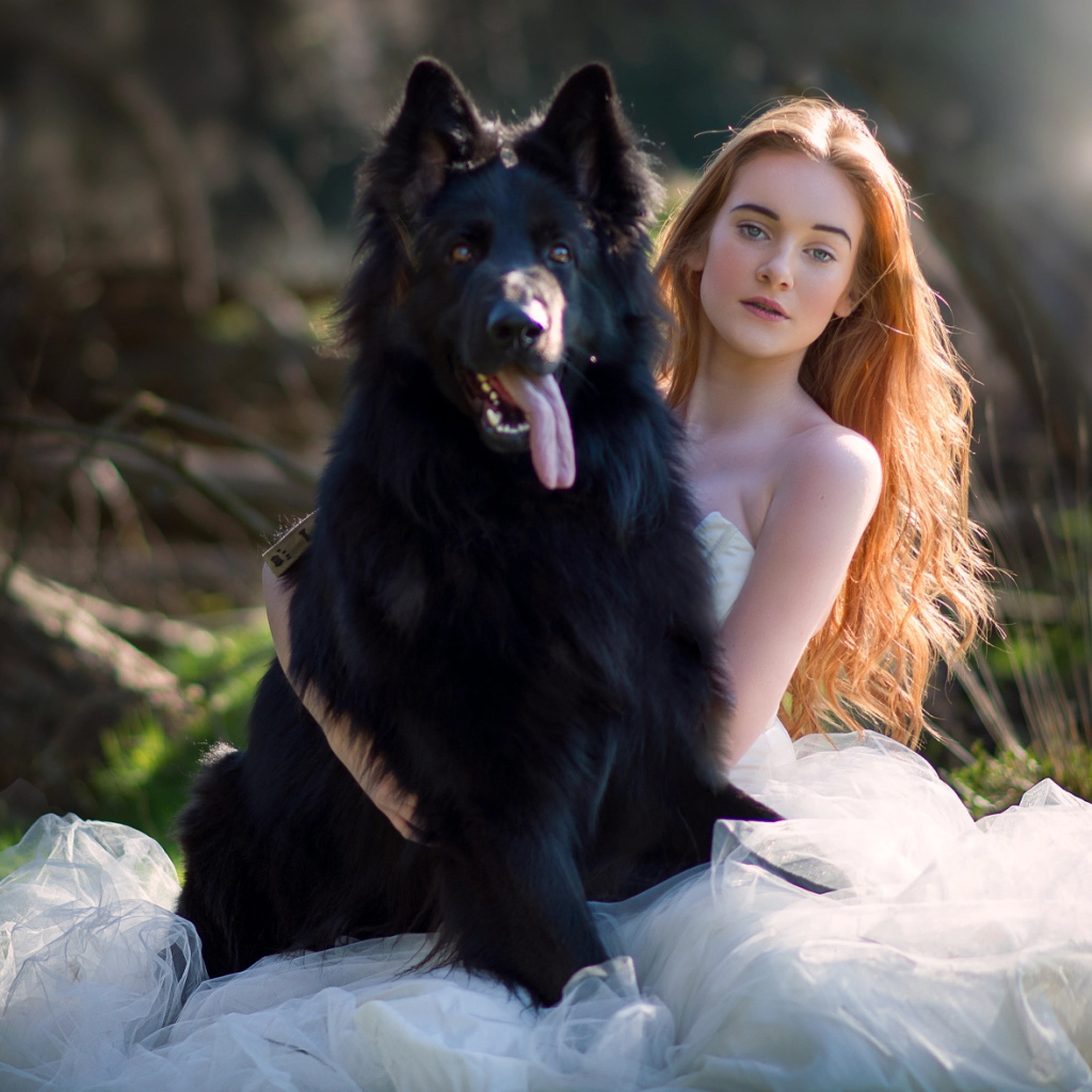 Красивая девушка невеста с большой черной собакой