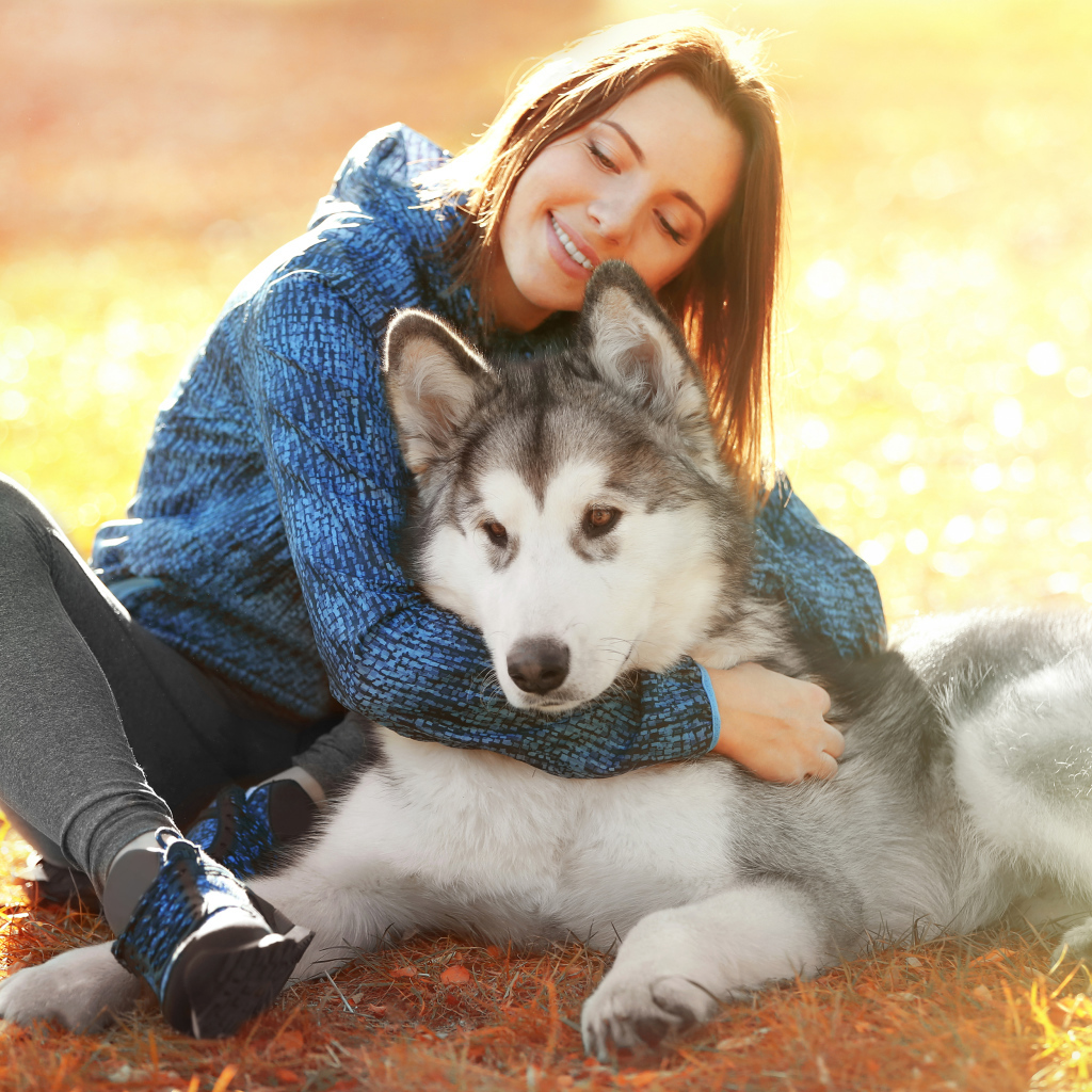 Красивая девушка брюнетка сидит на земле с собакой породы хаски