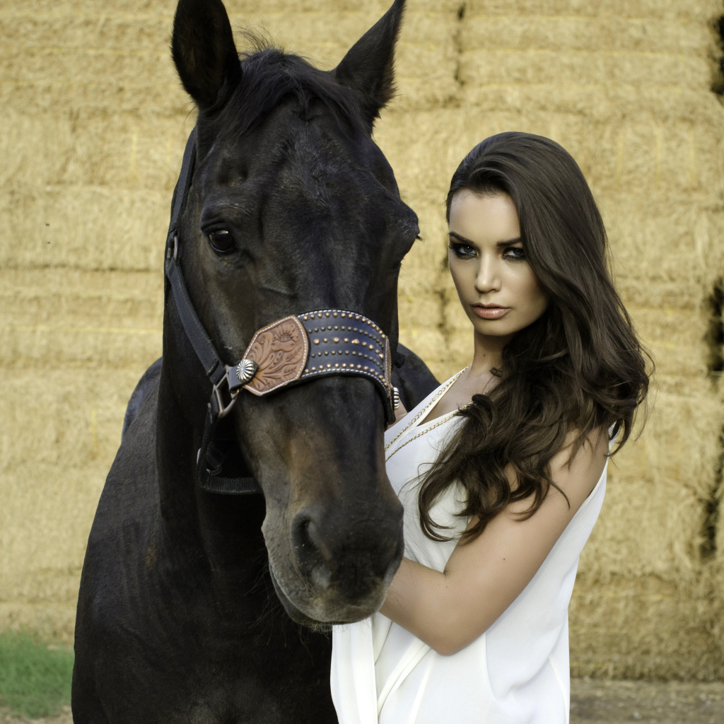 Красивая девушка брюнетка с черным конем 