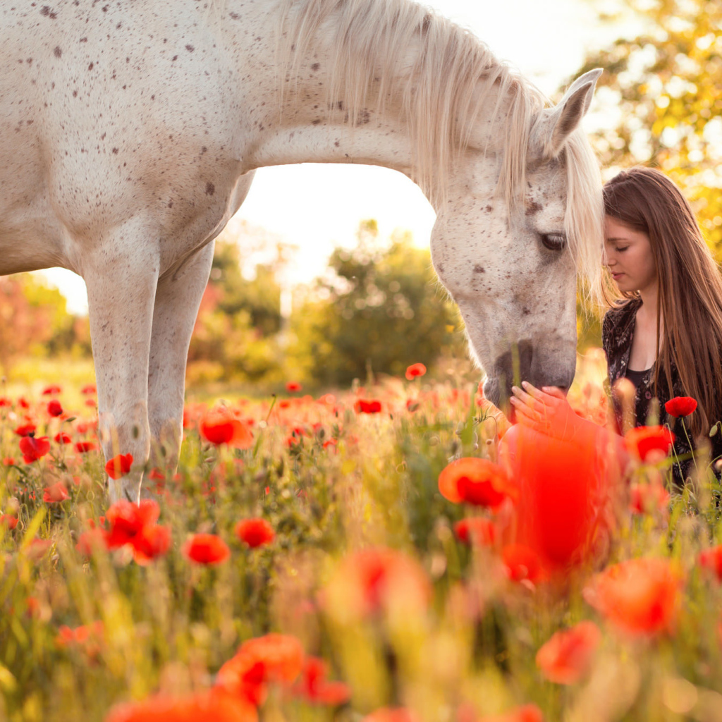 Красивая молодая девушка с лошадью на поле покрытом красными маками