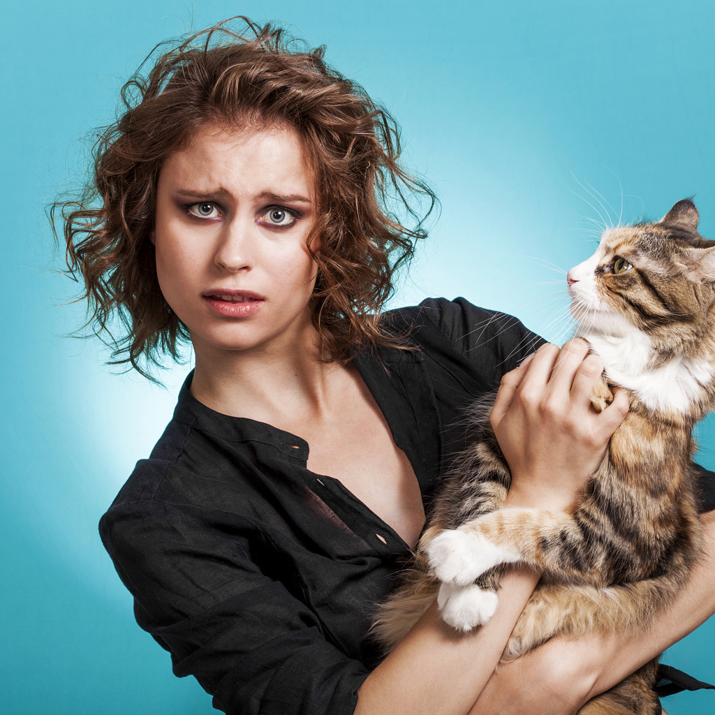 Молодая девушка шатенка с большим котом  на голубом фоне