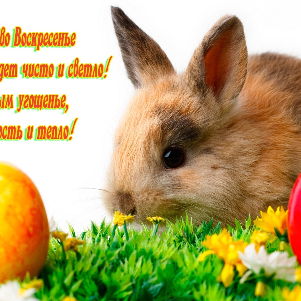 Поздравление со Светлым Христовым Воскресением 