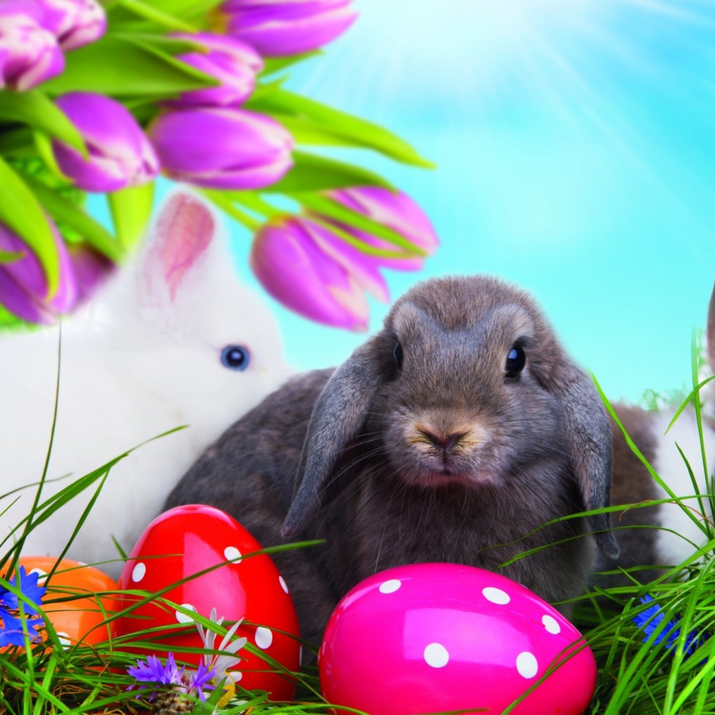 Разноцветные яйца и пасхальные кролики 