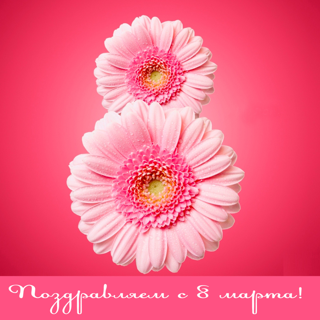 Восьмерка из гербер на 8 Марта