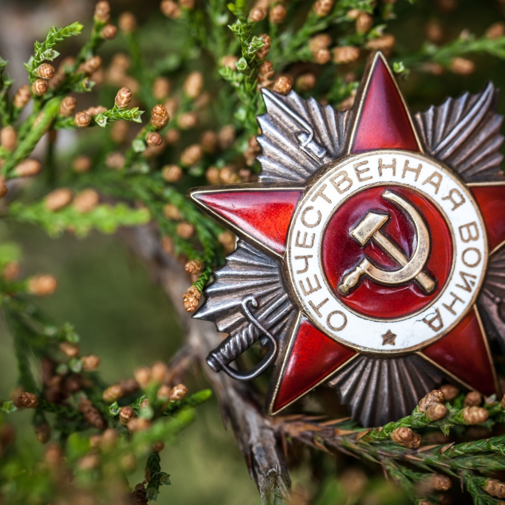 Орден Отечественной войны на День Победы 9 мая 